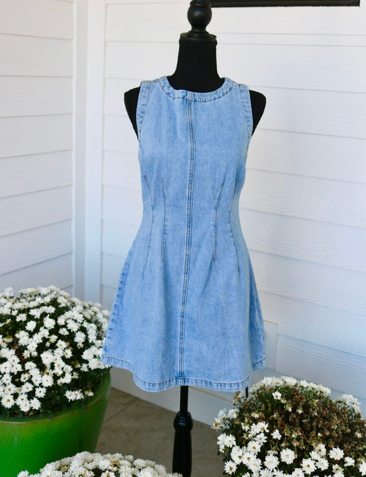 Peyton Sleeveless Denim Mini Dress